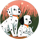 J Nilsen profile picture